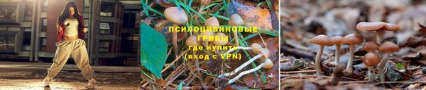 наркотики Дмитриев