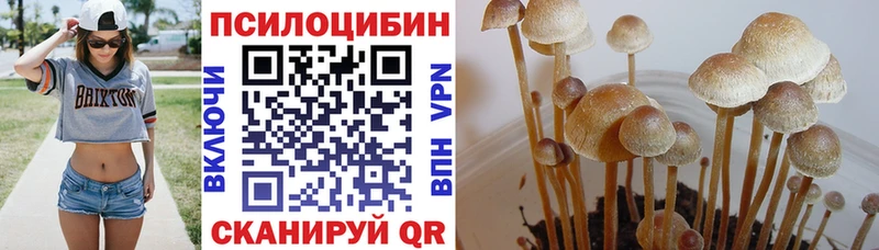 Купить  Сосновоборск  Галлюциногенные грибы GOLDEN TEACHER 